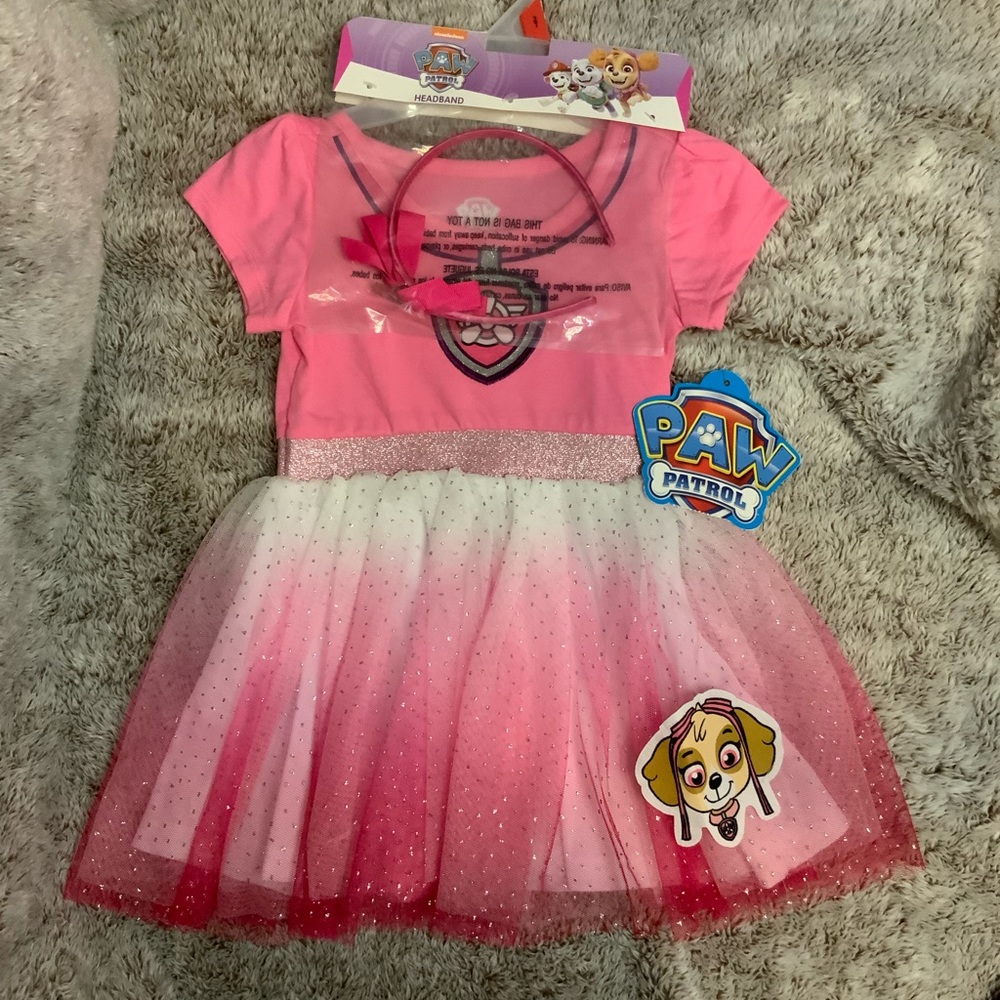 Paw Patrol Skye Pink Dress/w Headband 2T